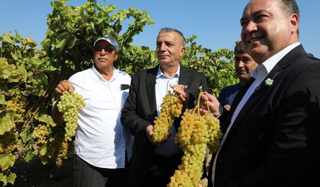 Bağ Bozumu Şenliği başladı!