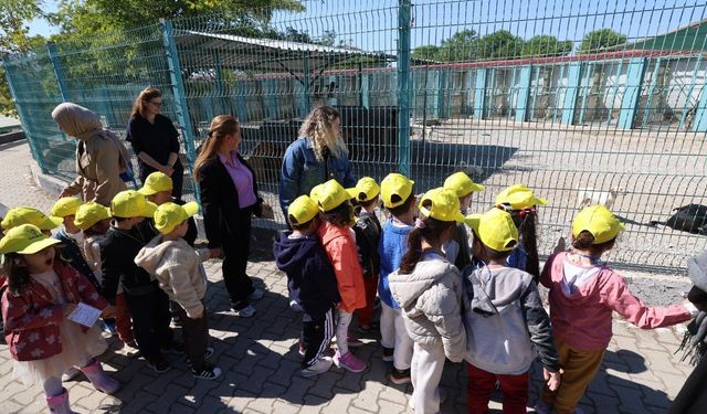 Minikler bakımevindeki hayvanları ziyaret etti
