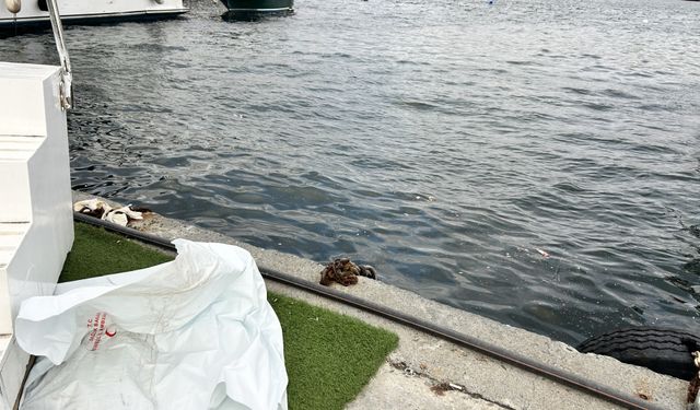 Fatih’te denizde erkek cesedi bulundu