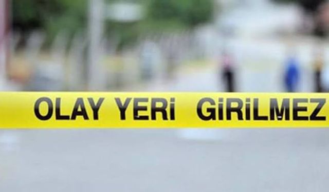 Zeytin tarlasında acı son!  70 yaşındaki kadın hayatını kaybetti