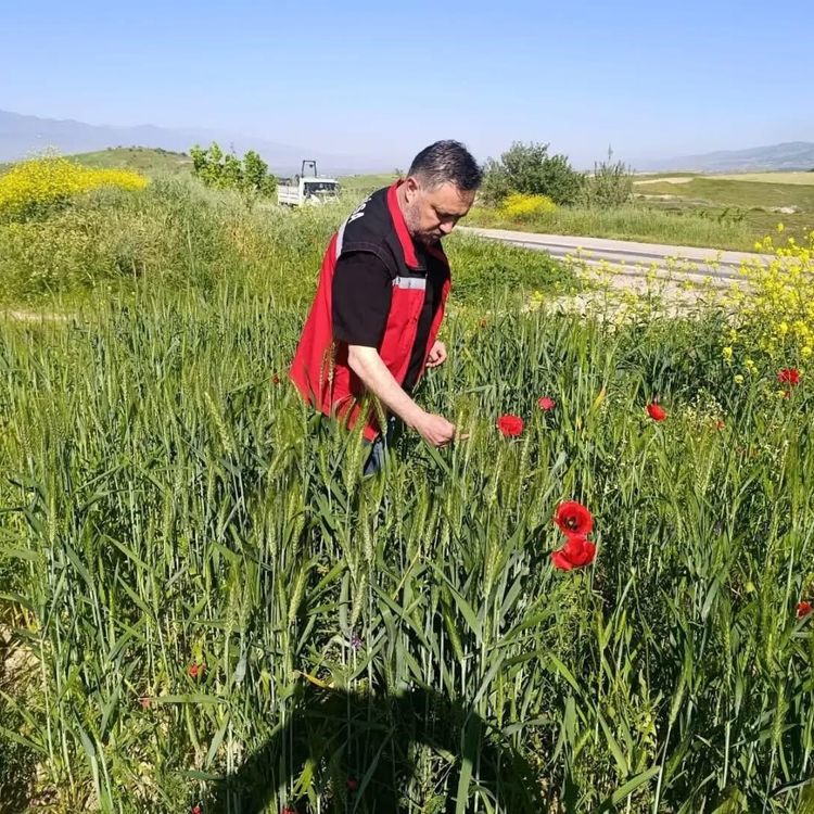 Sarıgöl'de huhubatta verim için ekipler sahada