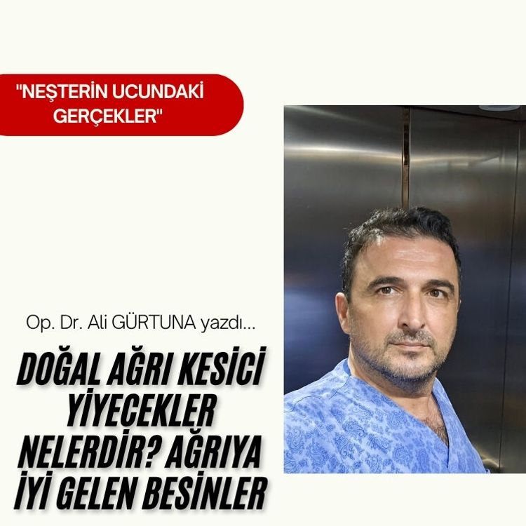 Doğal Ağrı Kesici Yiyecekler Nelerdir? Ağrıya İyi Gelen Besinler
