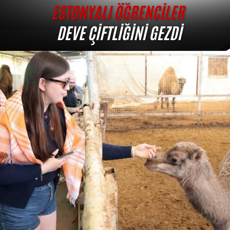 Estonyalı öğrenciler deve çiftliğini gezdi
