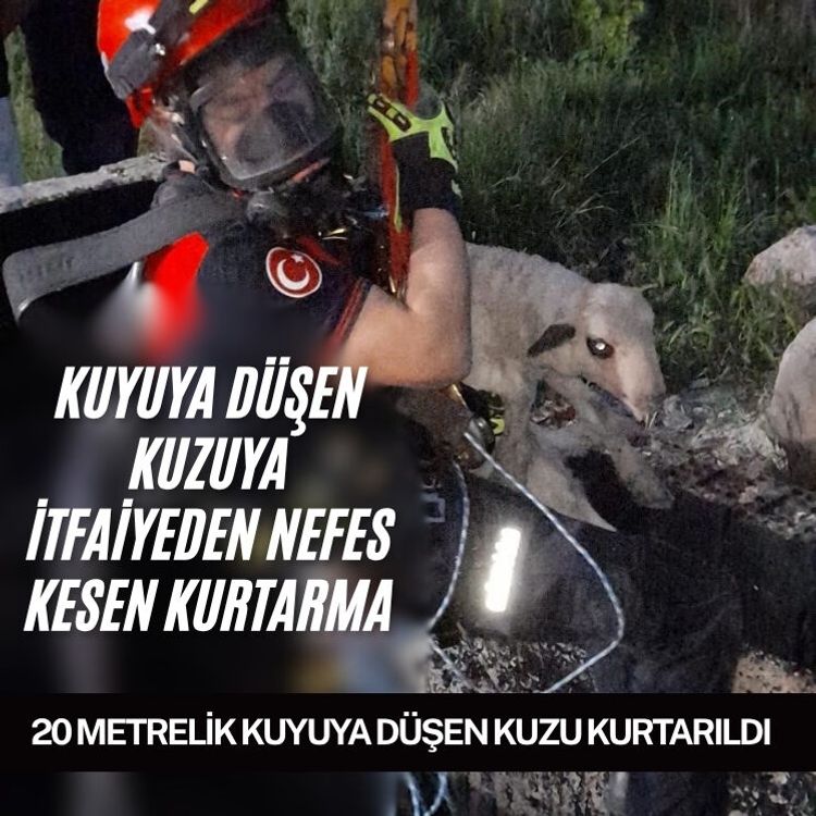 İzmir'de kuyuya düşen kuzuya itfaiyeden nefes kesen kurtarma