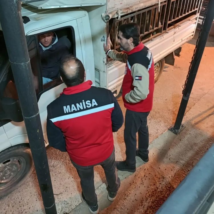 Salihli'de kurbanlık nakli yapan araçlara sıkı denetim