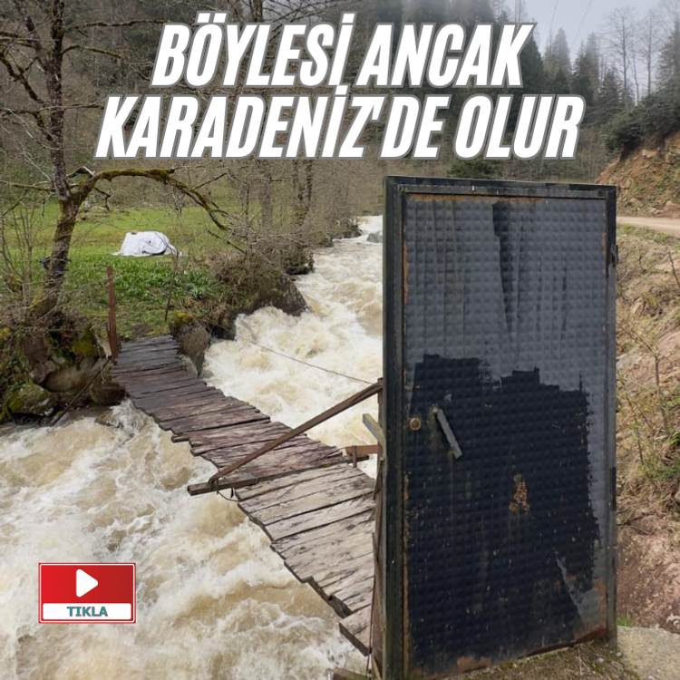 Böylesi ancak Karadeniz'de olur