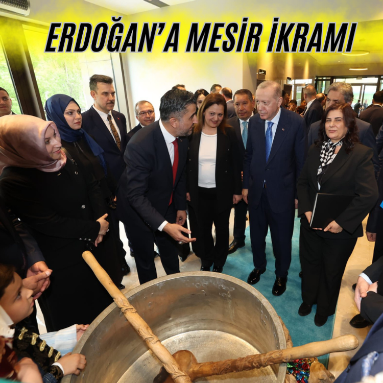 Erdoğan'a Mesir İkramı