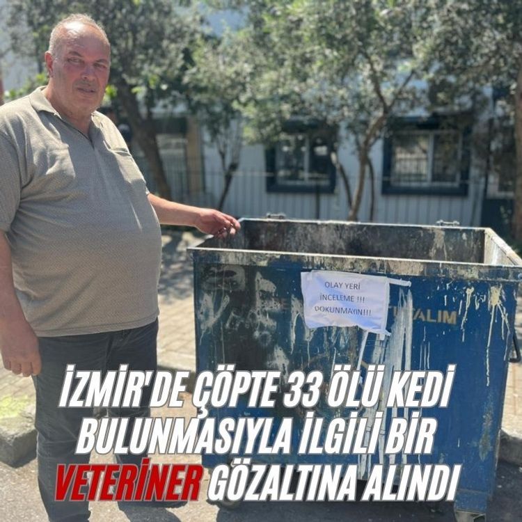 İzmir'de çöpte 33 ölü kedi bulunmasıyla ilgili bir veteriner gözaltına alındı