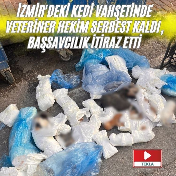 İzmir'deki kedi vahşetinde veteriner hekim serbest kaldı, başsavcılık itiraz etti
