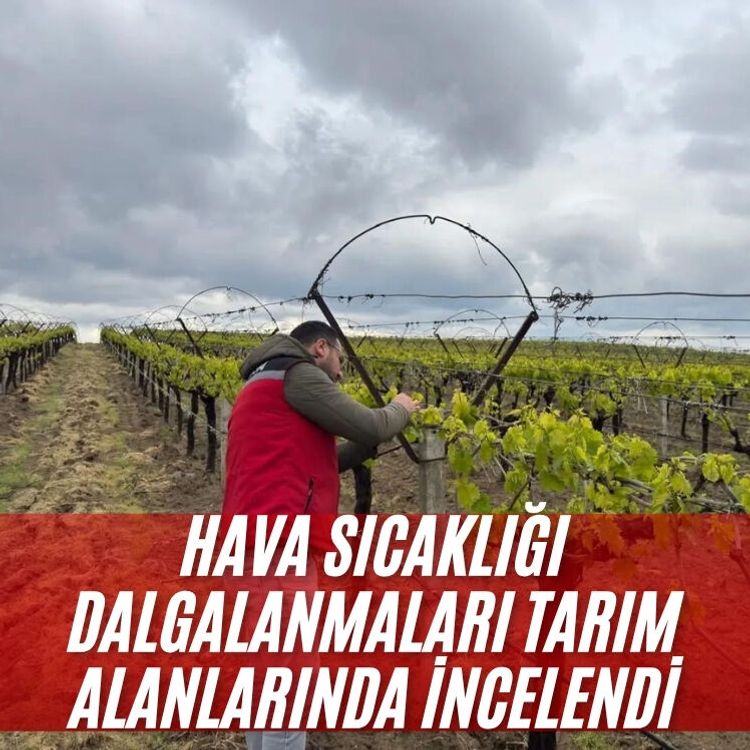 Hava sıcaklığı dalgalanmaları tarım alanlarında incelendi