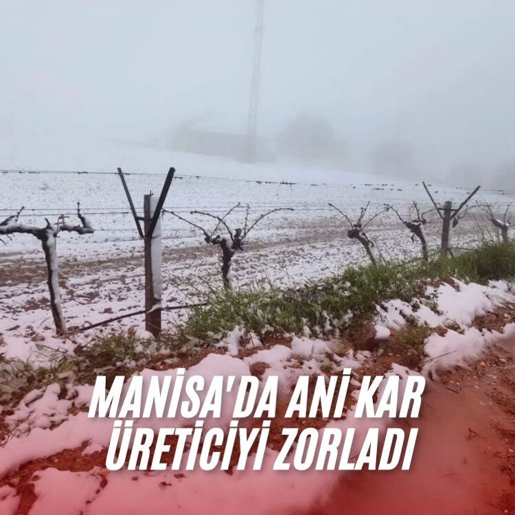 Manisa'da ani kar üreticiyi zorladı