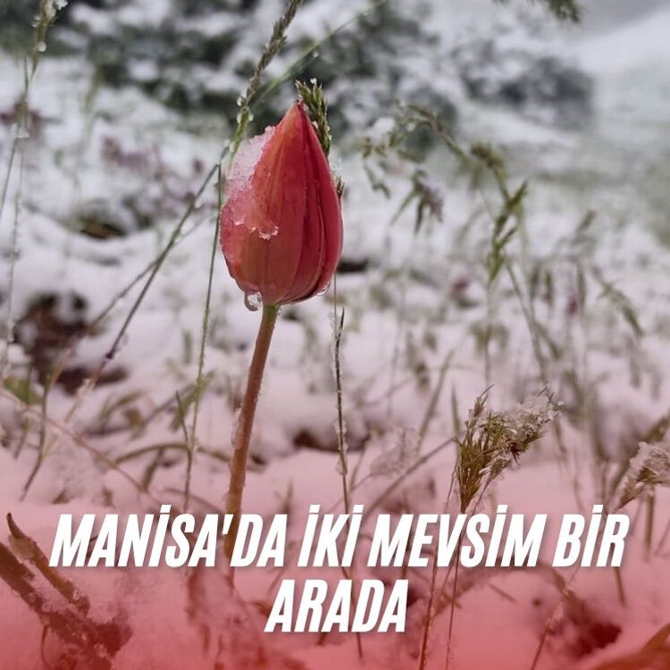 Manisa'da iki mevsim bir arada