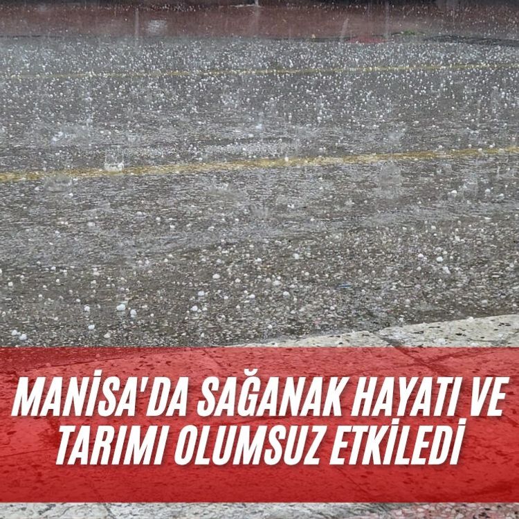 Manisa'da sağanak hayatı ve tarımı olumsuz etkiledi