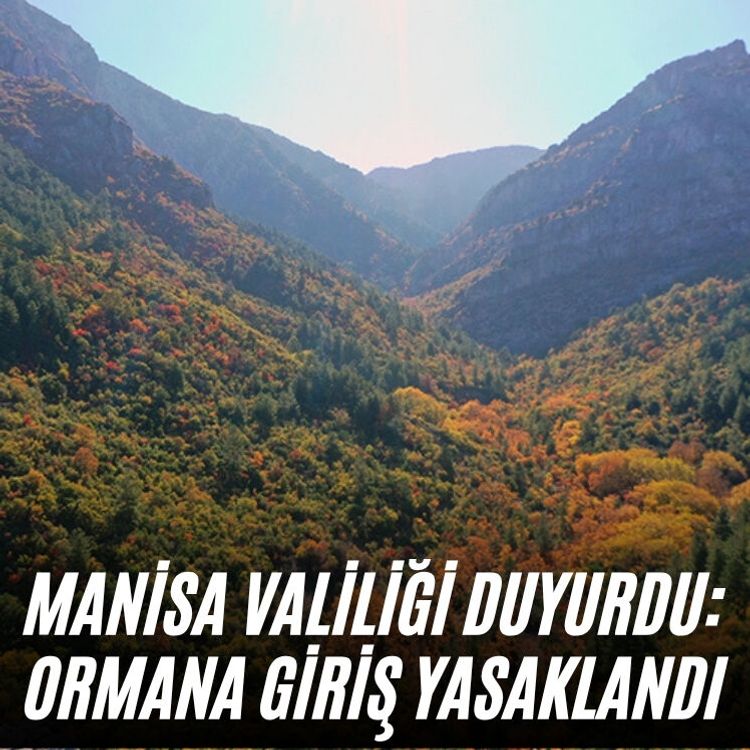 Manisa Valiliği duyurdu: Ormana giriş yasaklandı
