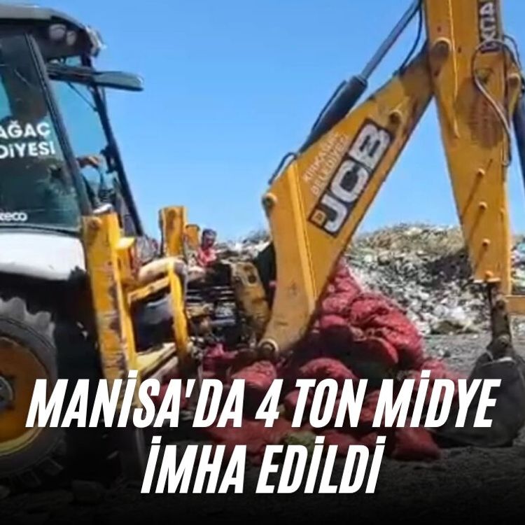 Manisa'da 4 ton midye imha edildi