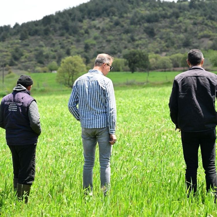 Manisa Büyükşehir’in toprakla buluşan tohumları yeşerdi