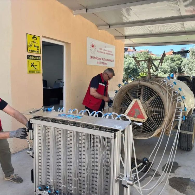 Üzümde kalıntı riskine karşı sıkı denetim