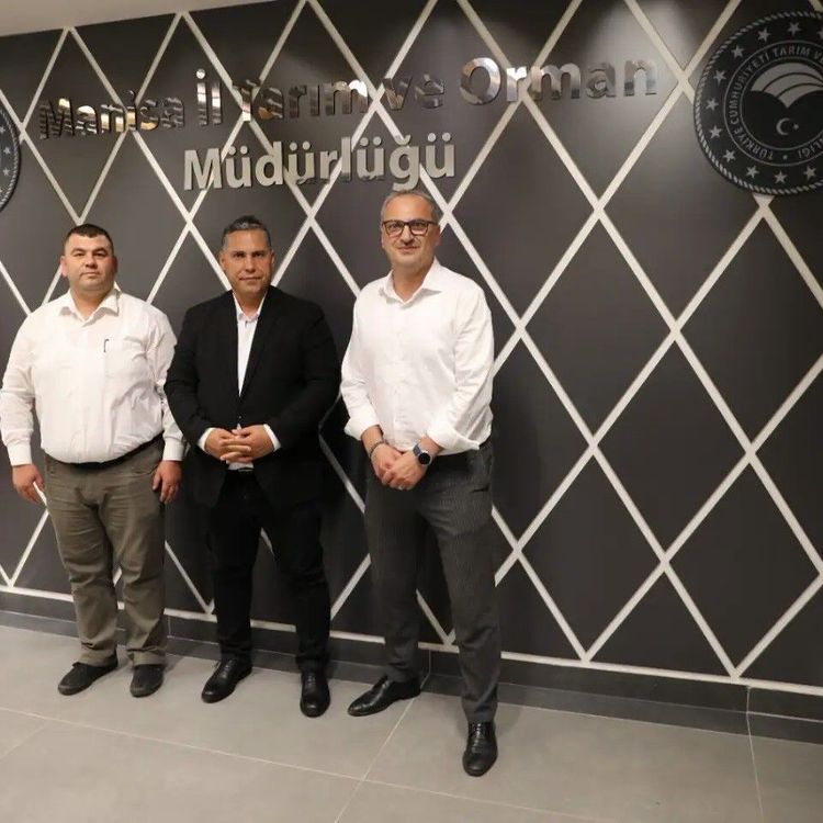 Köprübaşı tarımında nöbet değişimi