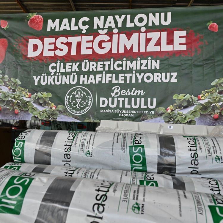 Manisa BŞB'den çilek üreticilerine malç naylonu desteği