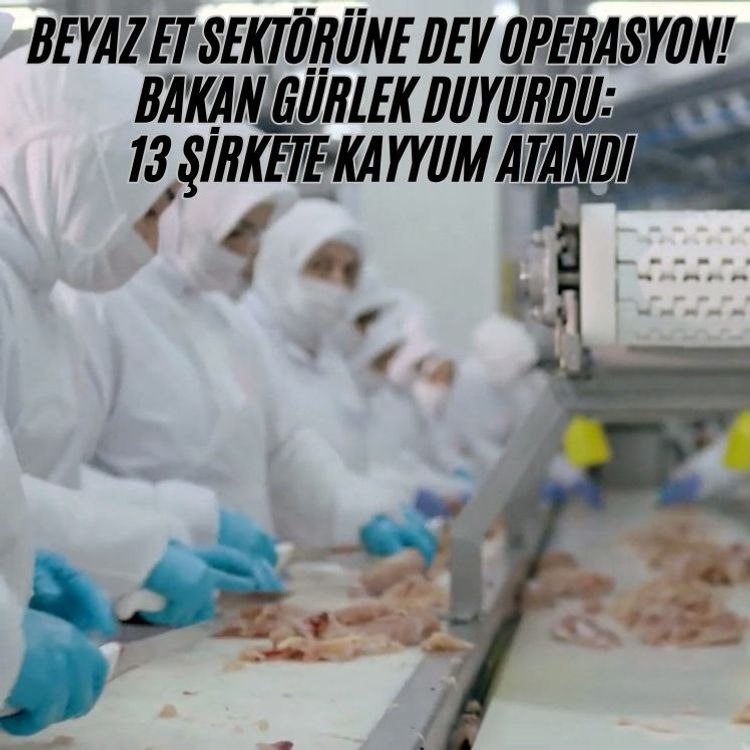 Beyaz et sektörüne dev operasyon! Bakan Gürlek duyurdu: 13 şirkete kayyum atandı