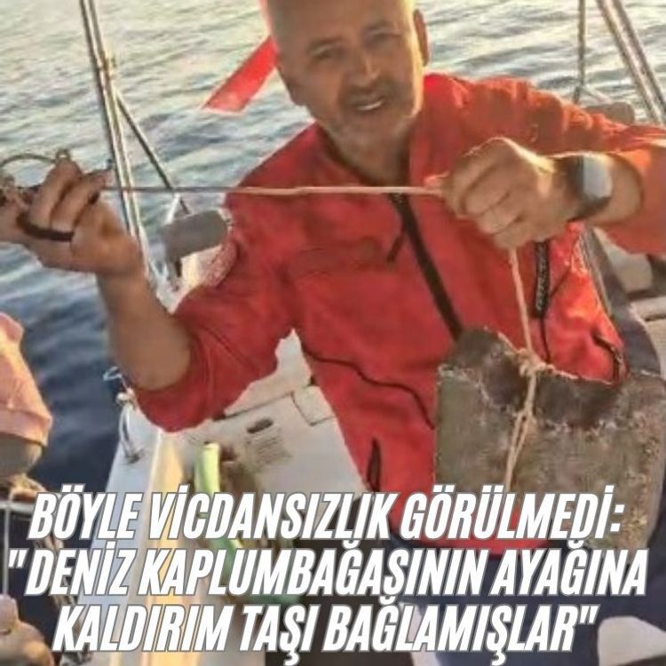 Böyle vicdansızlık görülmedi: "Deniz kaplumbağasının ayağına kaldırım taşı bağlamışlar"
