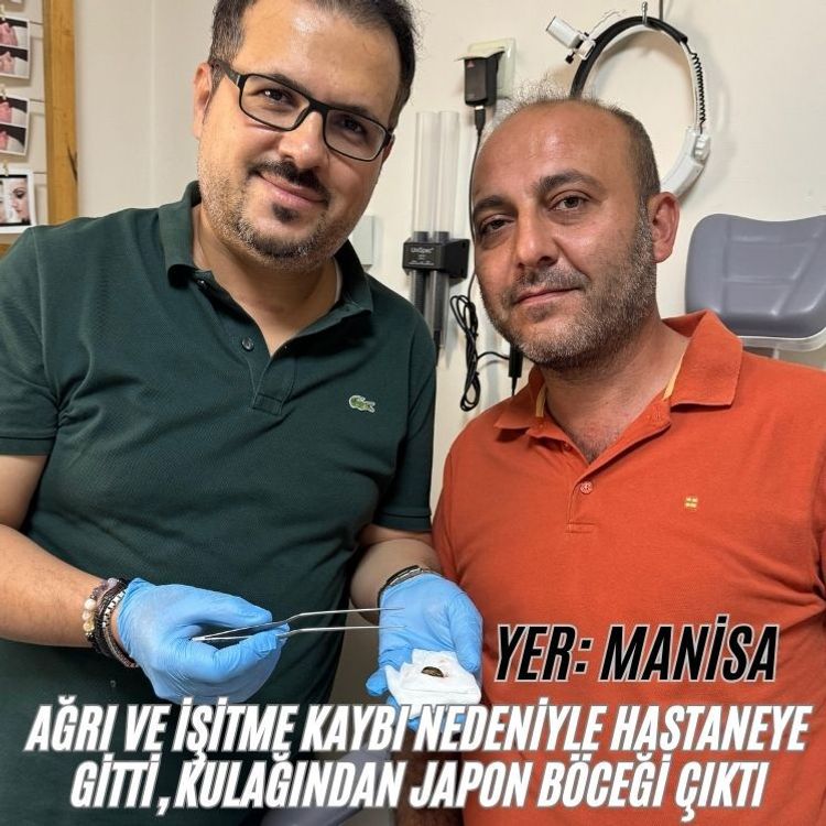 Ağrı ve işitme kaybı nedeniyle hastaneye gitti, kulağından Japon böceği çıktı