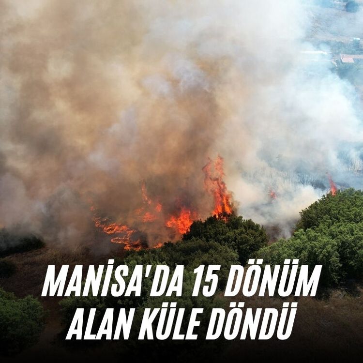 Manisa'da 15 dönüm alan küle döndü