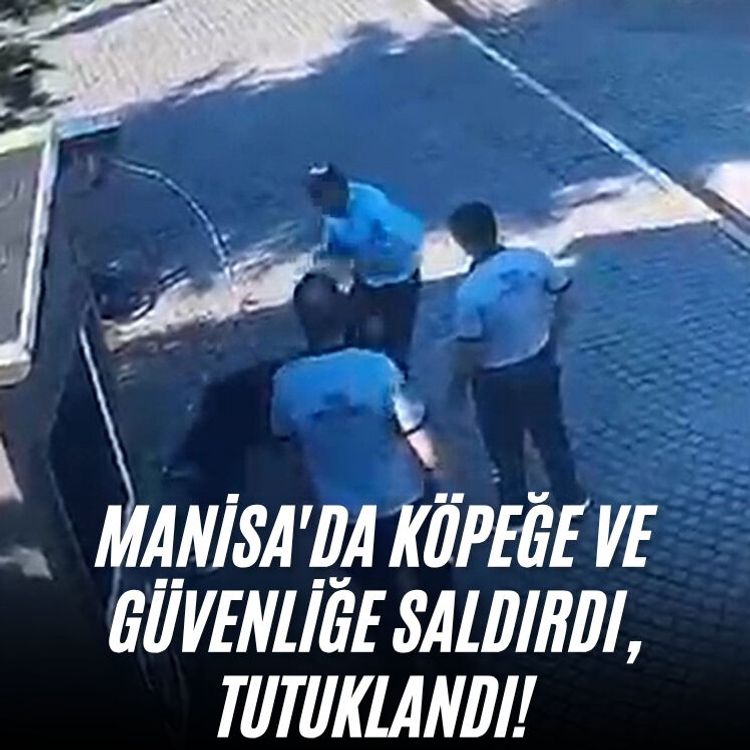 Manisa'da köpeğe ve güvenliğe saldırdı, tutuklandı!