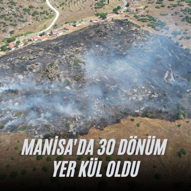 Manisa'da 30 dönüm yer kül oldu