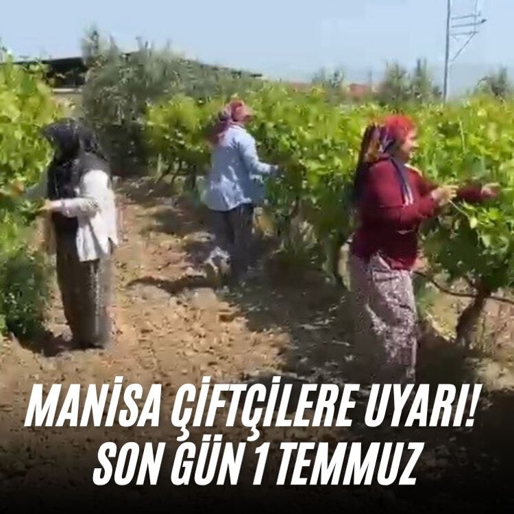 Manisa çiftçilere uyarı! Son gün 1 Temmuz
