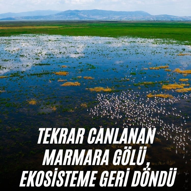 Tekrar canlanan Marmara Gölü, ekosisteme geri döndü