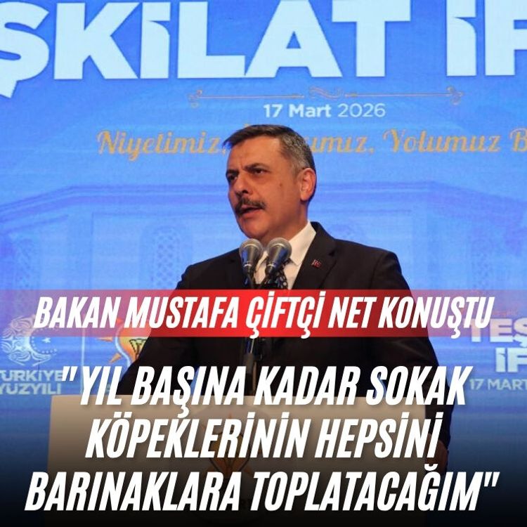 Bakan Çiftçi: "Yıl başına kadar sokak köpeklerinin hepsini barınaklara toplatacağım"