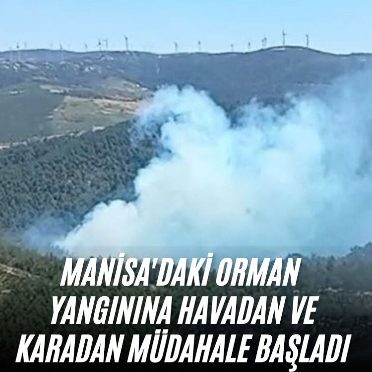 Manisa'daki orman yangınına havadan ve karadan müdahale başladı