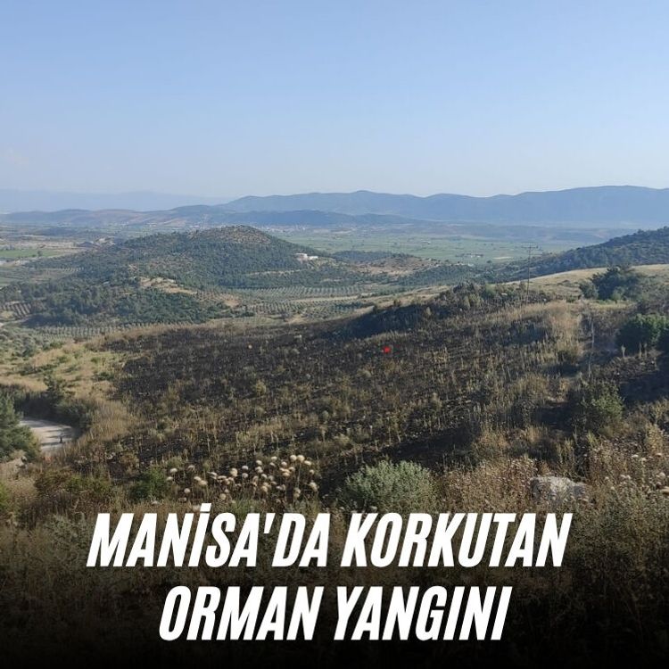 Manisa'da korkutan orman yangını
