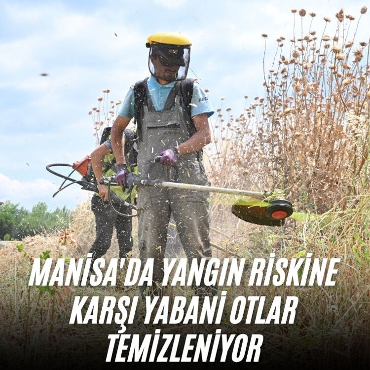 Manisa'da yangın riskine karşı yabani otlar temizleniyor