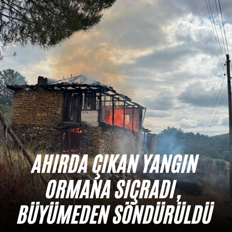 Ahırda çıkan yangın ormana sıçradı, büyümeden söndürüldü
