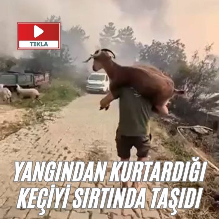 Yangından kurtardığı keçiyi sırtında taşıdı