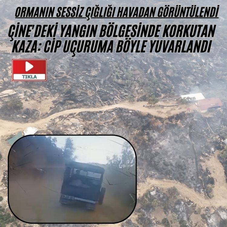 Ormanın sessiz çığlığı havadan görüntülendi