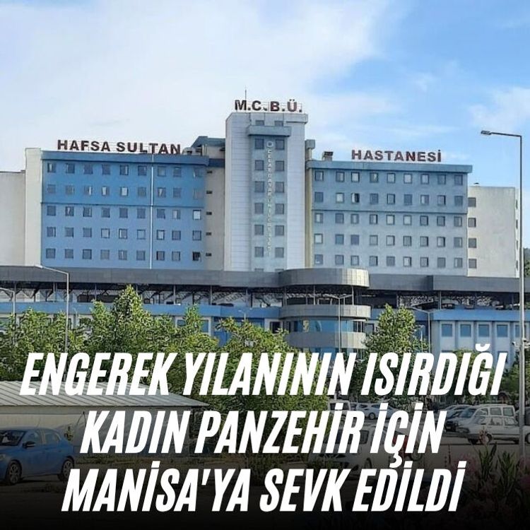 Engerek yılanının ısırdığı kadın panzehir için Manisa'ya sevk edildi