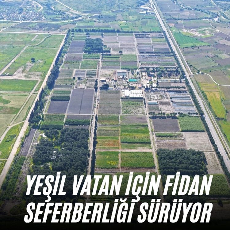 Yeşil vatan için fidan seferberliği sürüyor