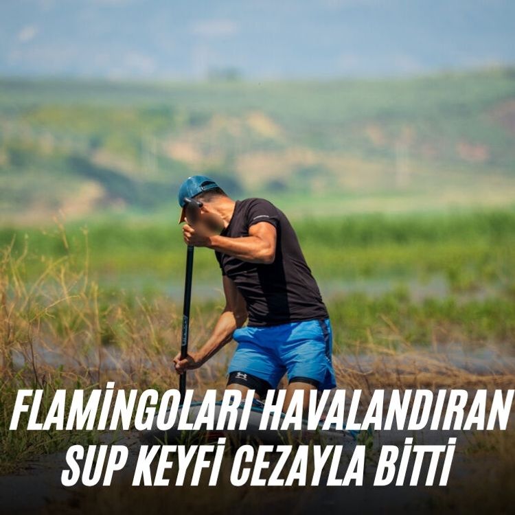 Flamingoları havalandıran SUP keyfi cezayla bitti