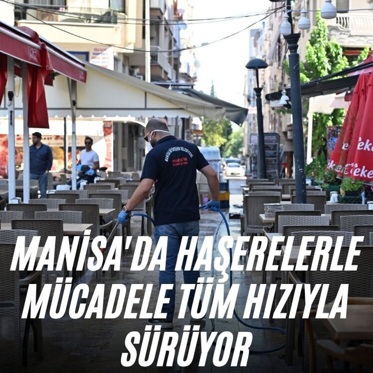 Manisa'da haşerelerle mücadele tüm hızıyla sürüyor
