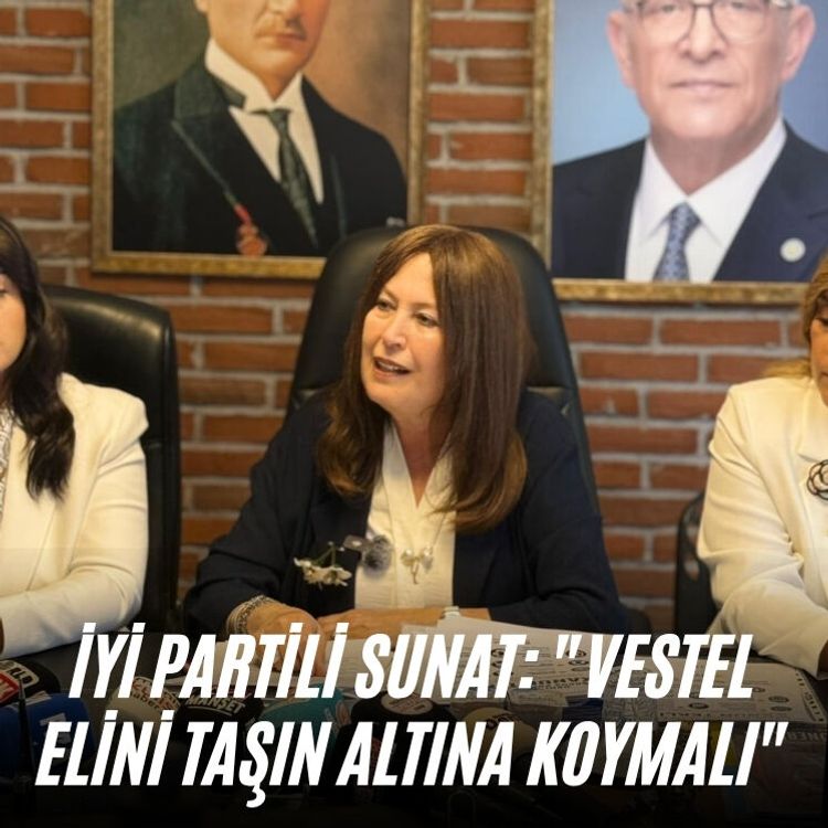İYİ Partili Sunat: "Vestel elini taşın altına koymalı"