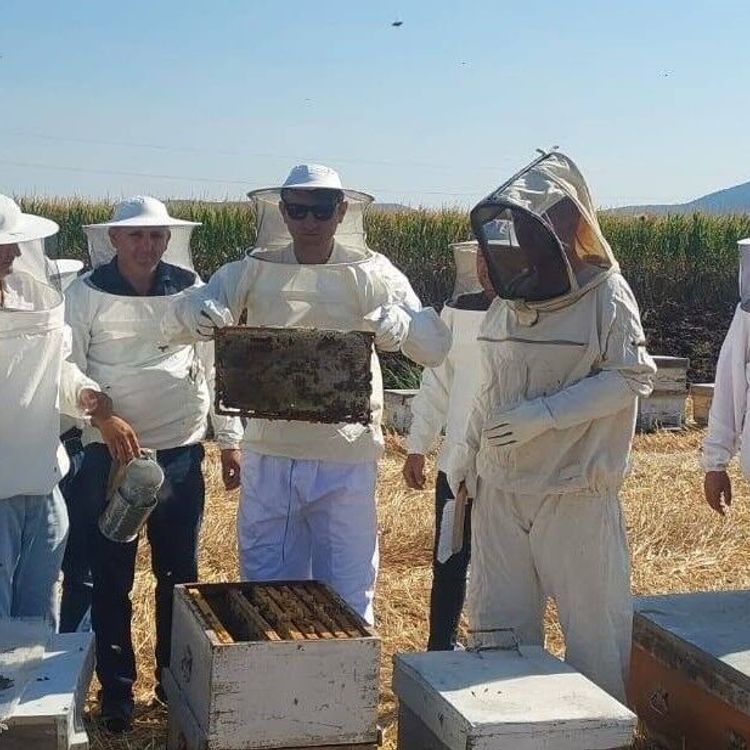 Kaymakam Özcan bal hasadına katıldı