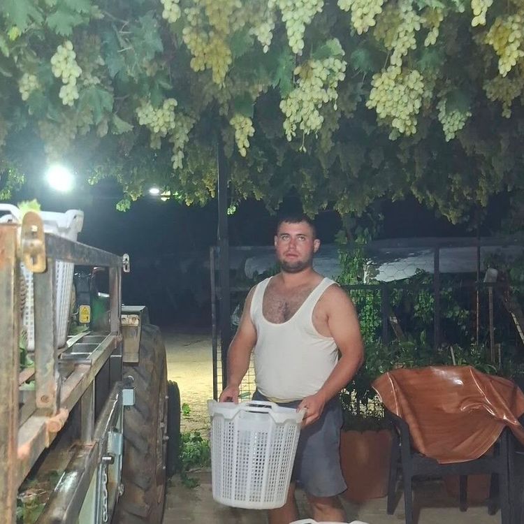 Sarıgöl’de üzüm için gece mesaisi