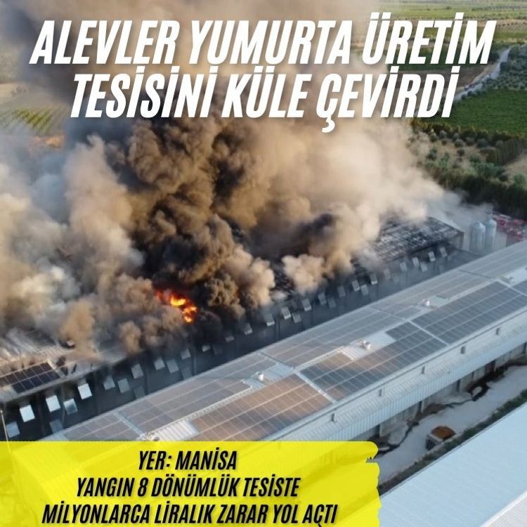 Alevler yumurta üretim tesisini küle çevirdi