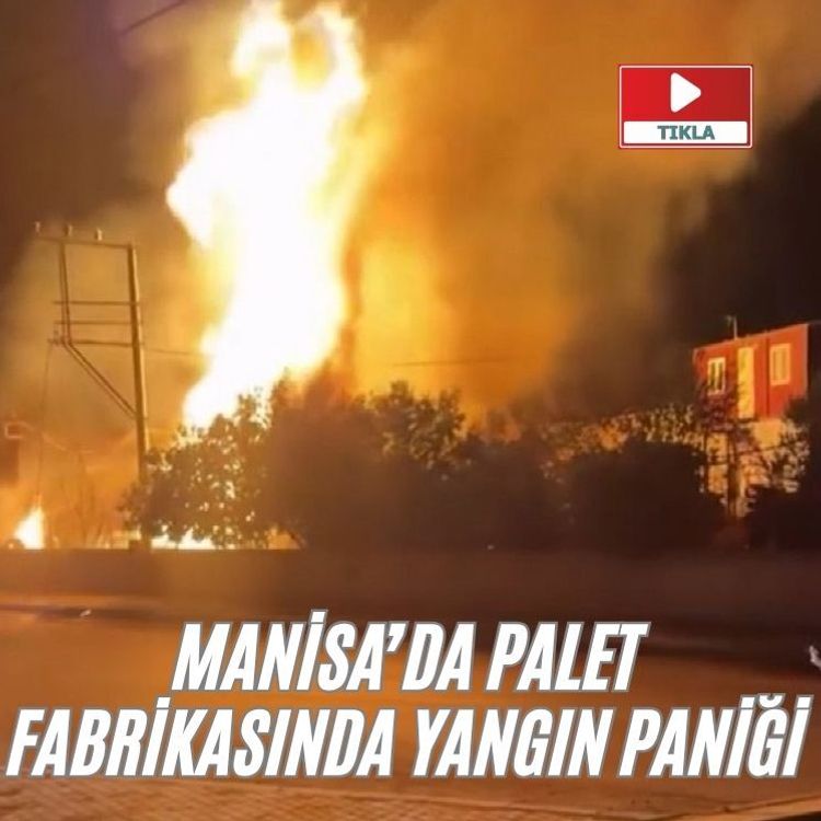 Palet fabrikasında yangın paniği