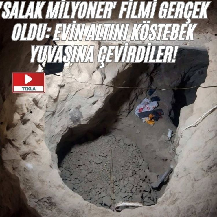 'Salak Milyoner' filmi gerçek oldu: Evin altını köstebek yuvasına çevirdiler!