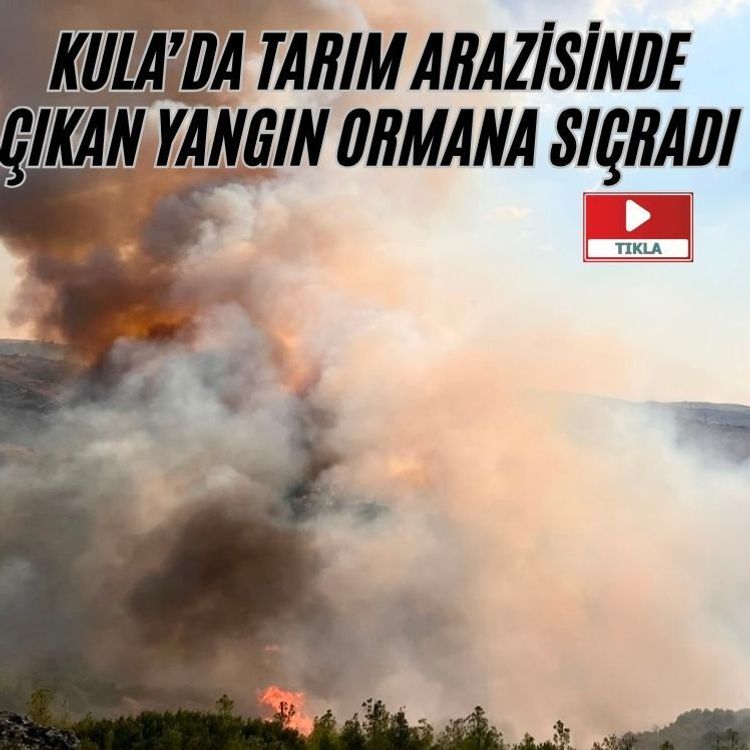 Kula’da tarım arazisinde çıkan yangın ormana sıçradı
