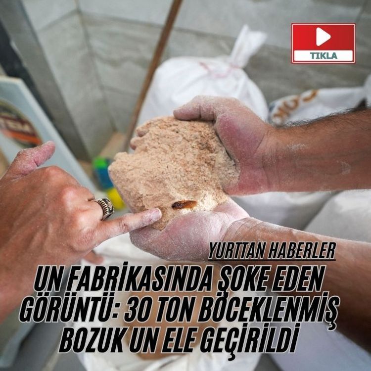 Un fabrikasında şoke eden görüntü: 30 ton böceklenmiş bozuk un ele geçirildi